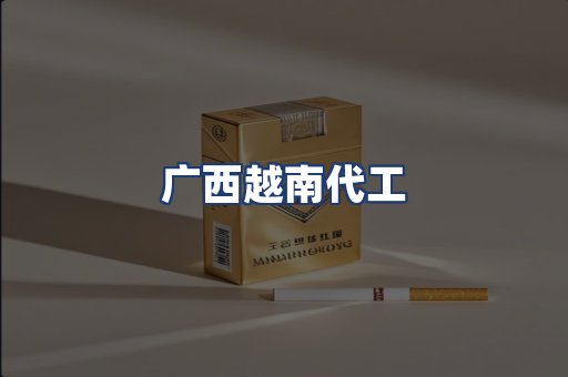 广西越南代工